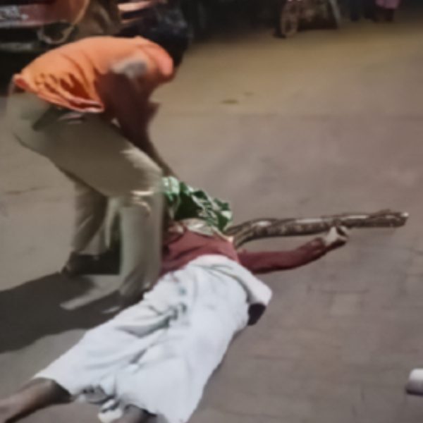Bêbado é atacado por cobra e quase morre estrangulado em posto de gasolina
