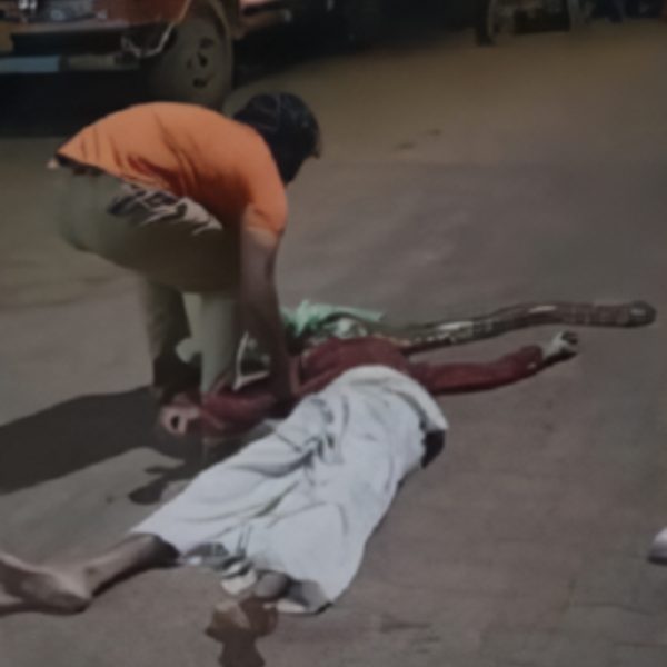  Bêbado é atacado por cobra e quase morre estrangulado em posto de gasolina 