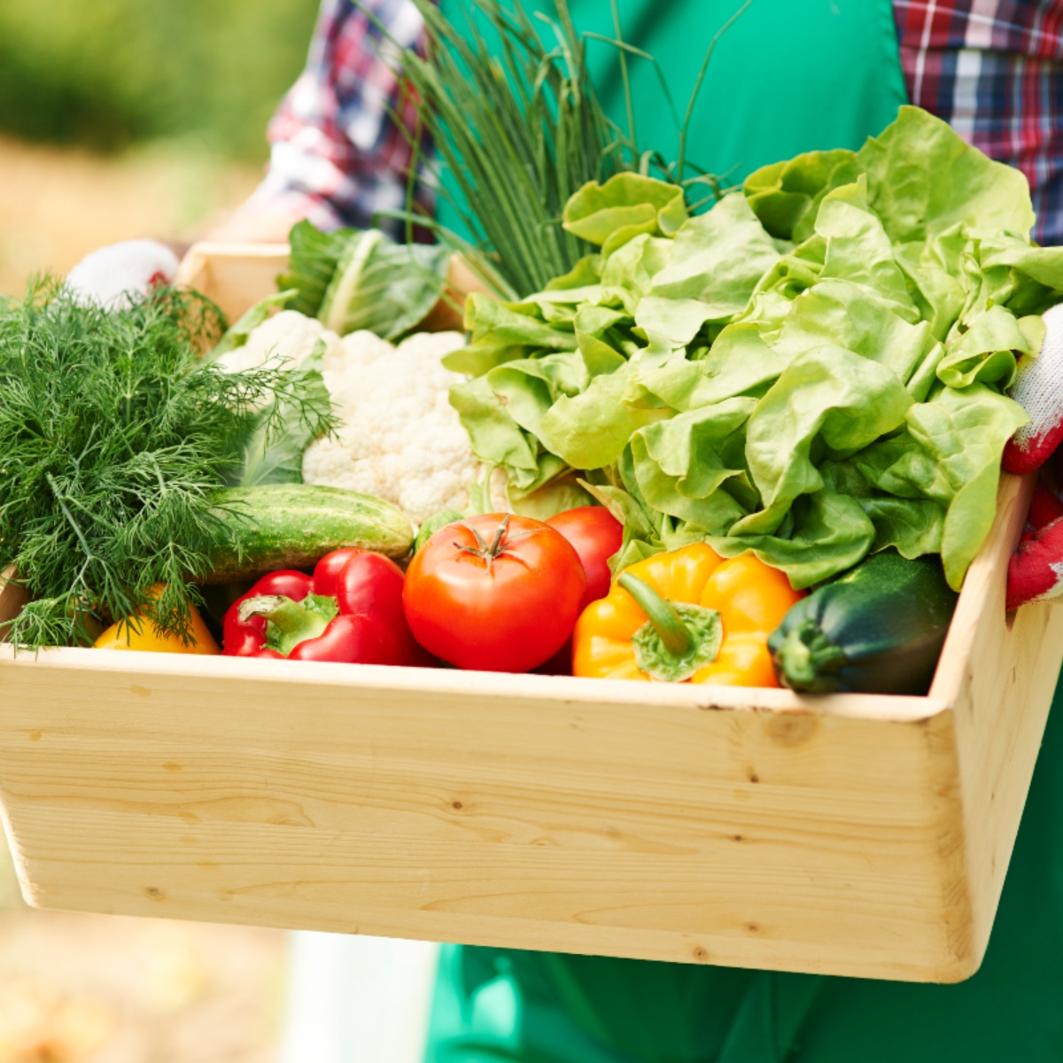  desperdício alimentos como evitar 