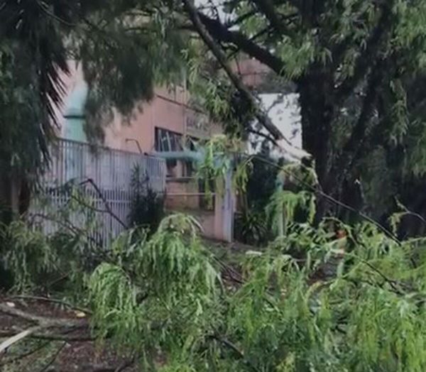 Imagens mostram danos causados por temporal em Cascavel