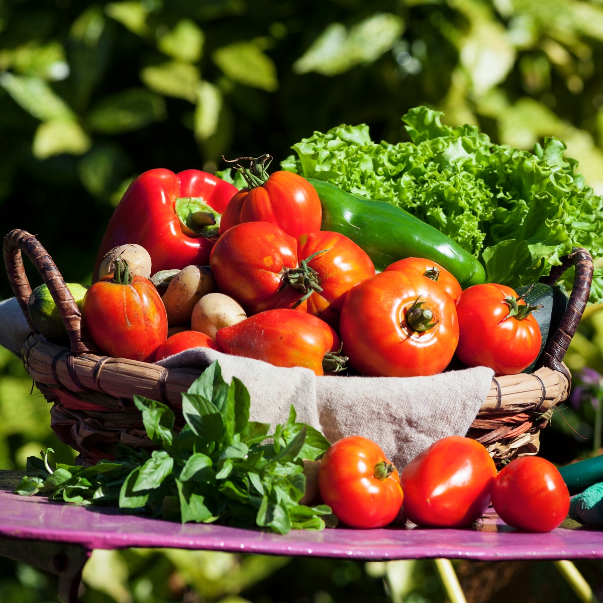  desperdício alimentos como evitar 