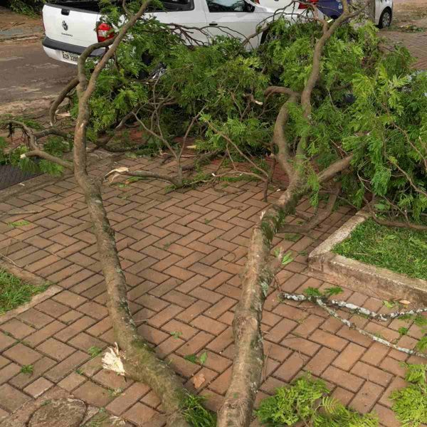 escolas tornado cascavel