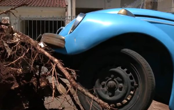 Fusca azul fica ‘pendurado’ por raiz de árvore arrancada pelo vento em Maringá 3