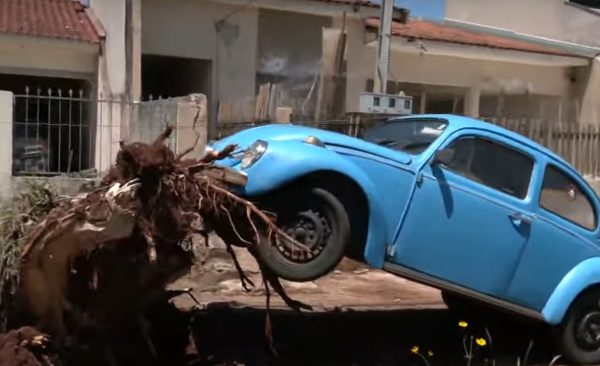 Fusca azul fica ‘pendurado’ por raiz de árvore arrancada pelo vento em Maringá 3