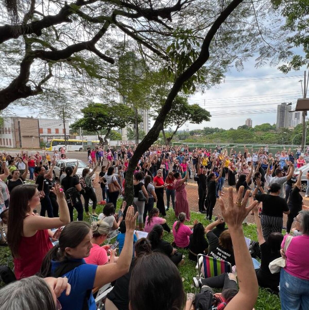  greve professores 