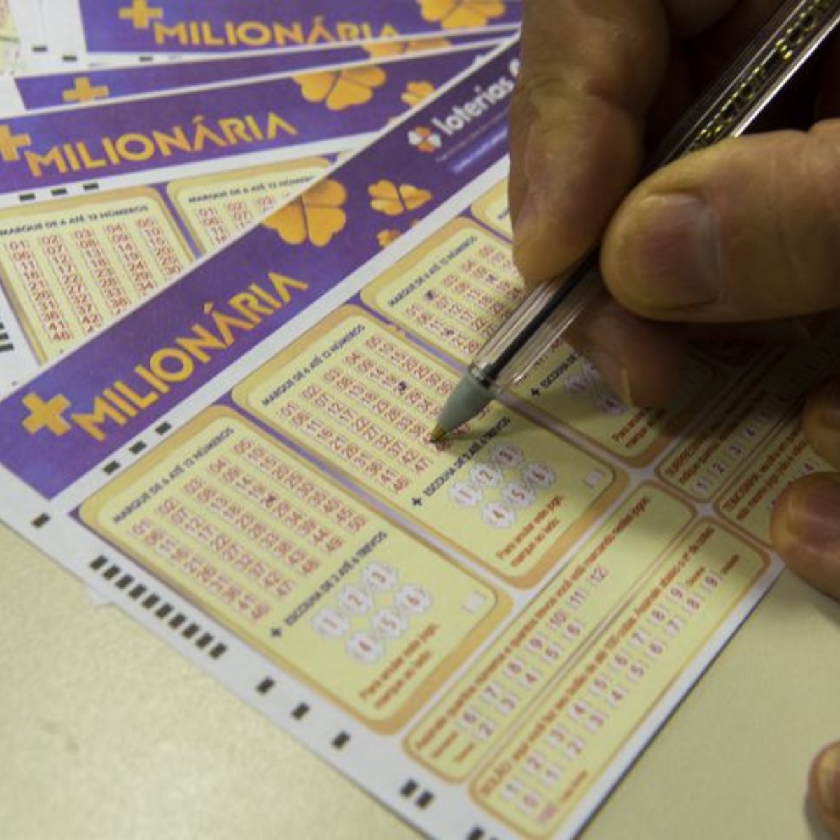 Jogo de Bicho: a lotaria popular mas ilegal do Brasil