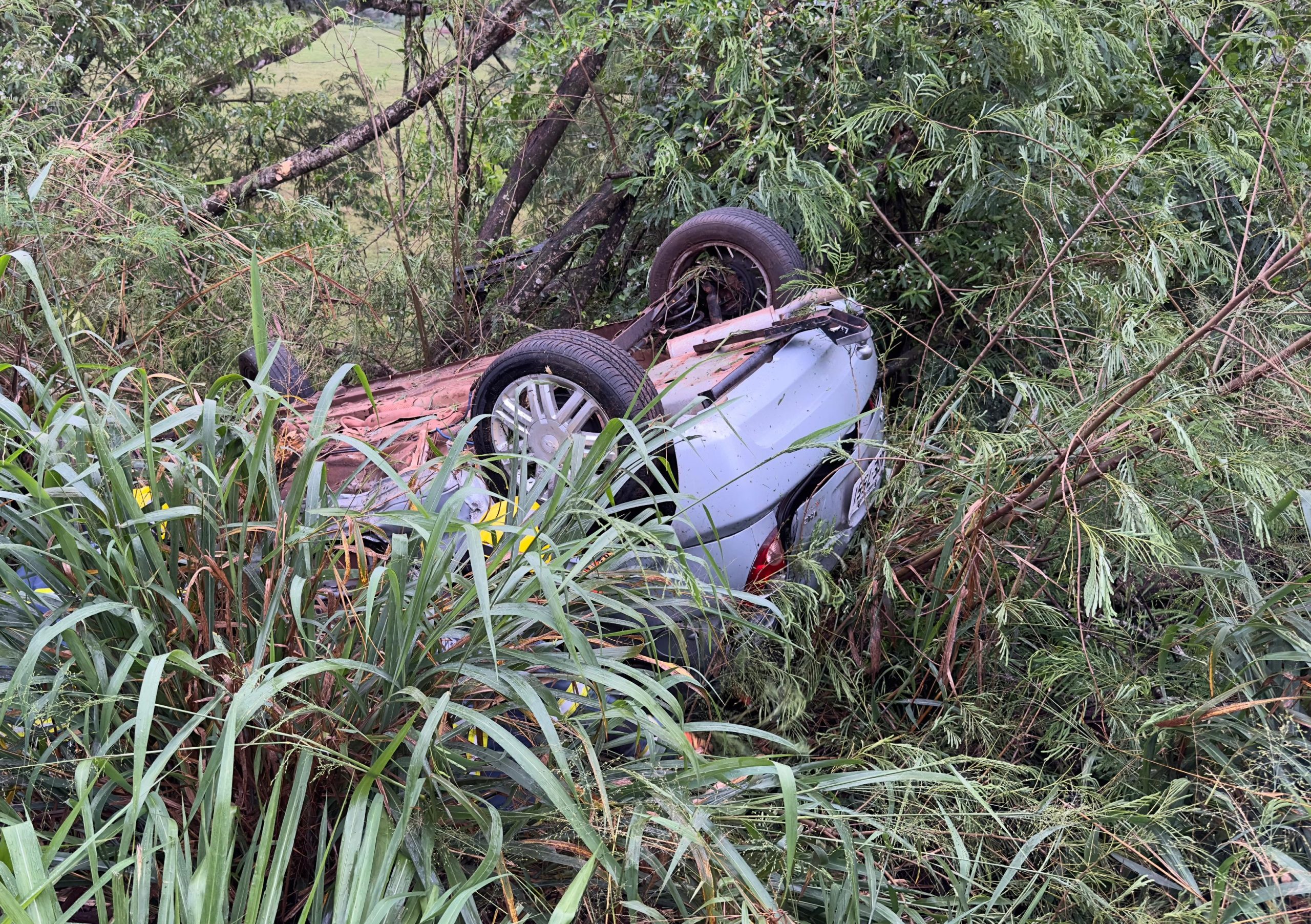  Menina de 2 anos morre em capotamento na PR-082 