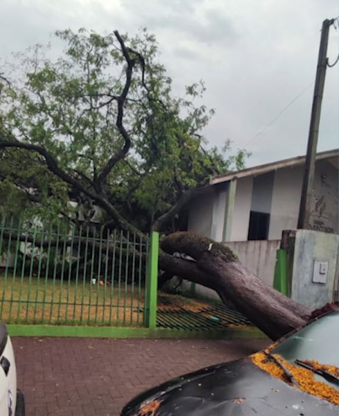 Milhares continuam sem energia após temporal no noroeste do PR; veja estragos 2