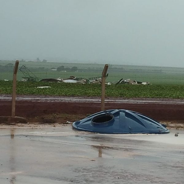 vendaval em palotina