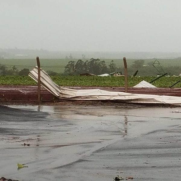 vendaval em palotina