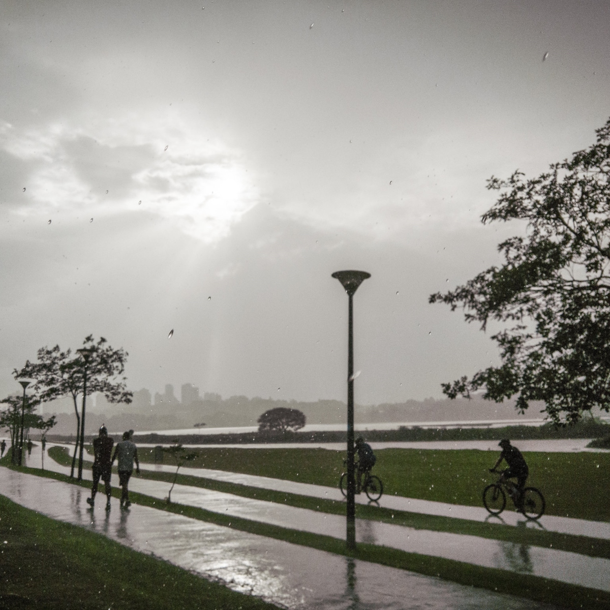  Além do Barigui, outros parques em Curitiba funcionam como drenagem; saiba quais 