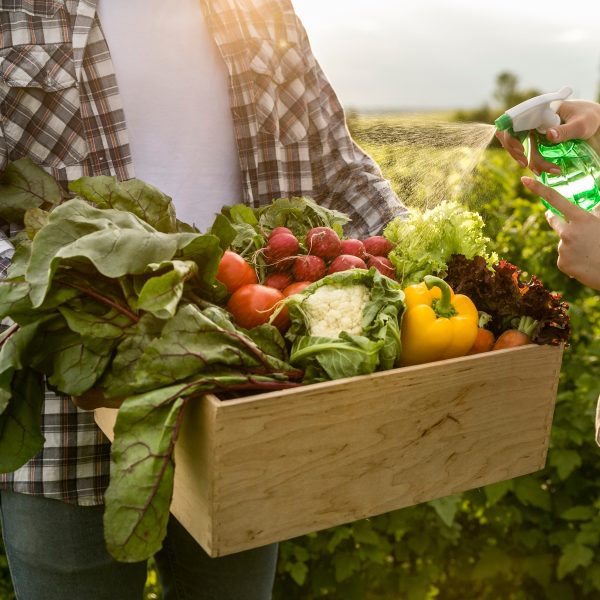 fome impacto ambiental