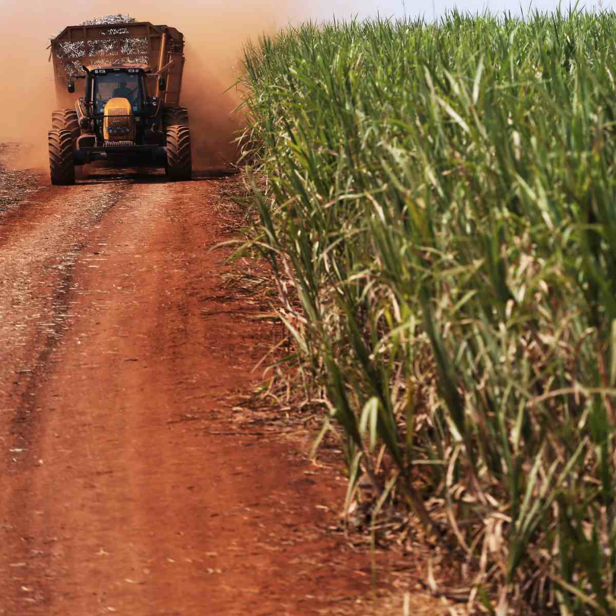  Produção açúcar setembro 