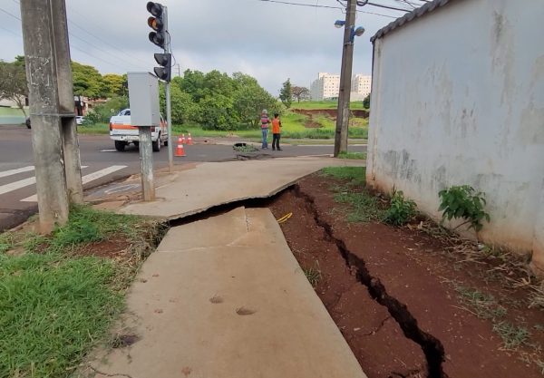 Queda de árvore em muro de colégio deixa alunos sem aula em Maringá 6