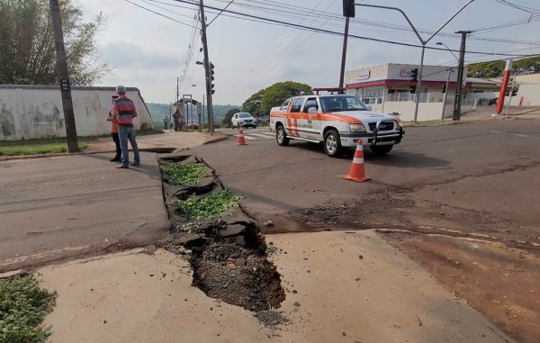 Queda de árvore em muro de colégio deixa alunos sem aula em Maringá 6