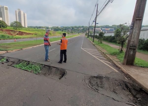 Queda de árvore em muro de colégio deixa alunos sem aula em Maringá 6