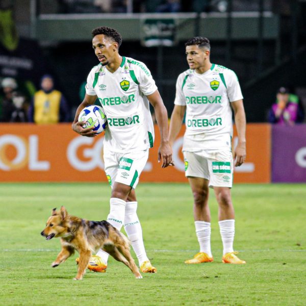  Cachorro em Coritiba x Cuiabá 