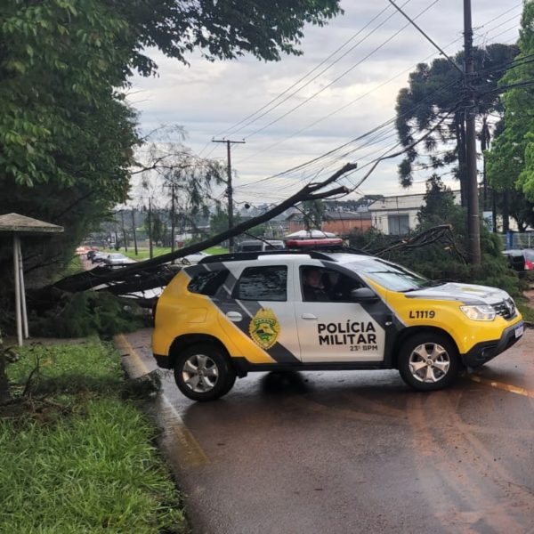 estragos temporal curitiba