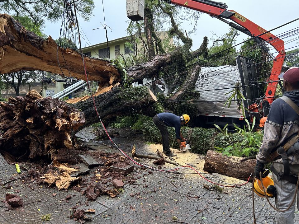  Temporal 14 mil continuam sem energia em Maringá; veja locais sem semáforo 