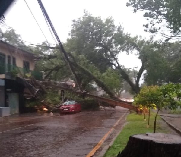 Temporal deixa estragos e Campo Mourão decreta estado de calamidade; vídeos