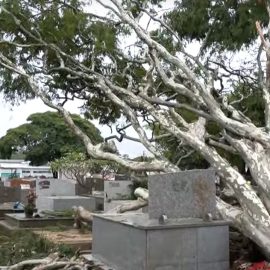 Temporal destrói cemitério e prédio da prefeitura de Campo Mourão; veja estragos 2