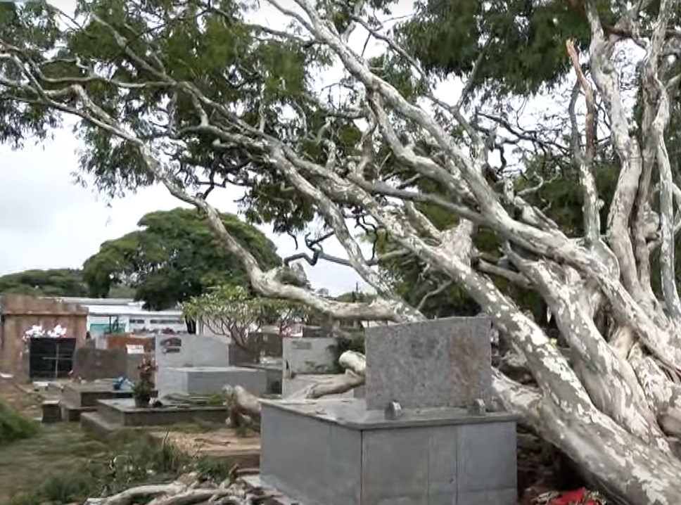  Temporal destrói cemitério e prédio da prefeitura de Campo Mourão; veja estragos 2 