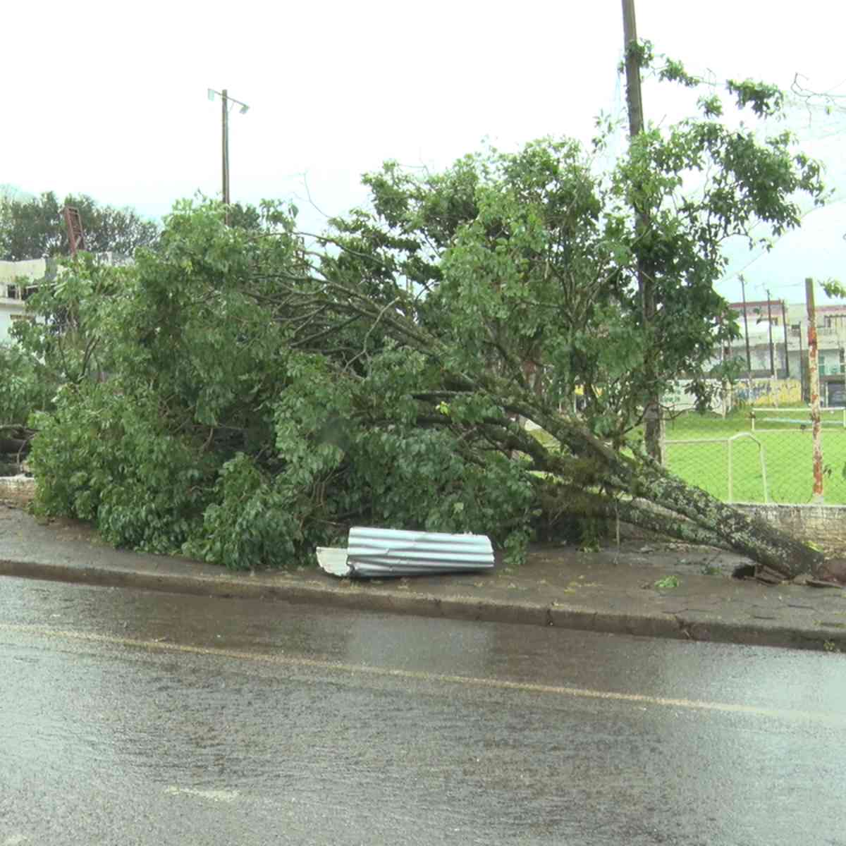  temporal cascavel 