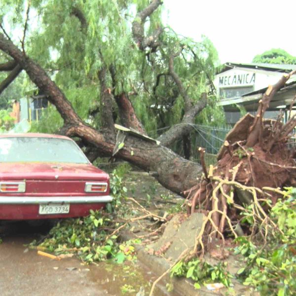 temporal cascavel