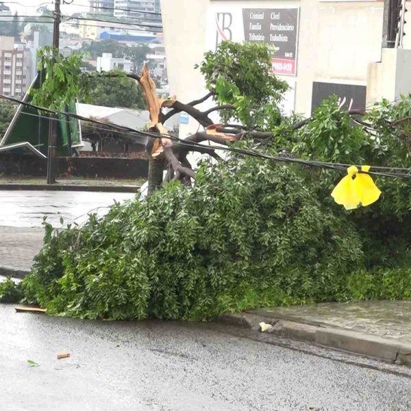 Temporal em Cascavel