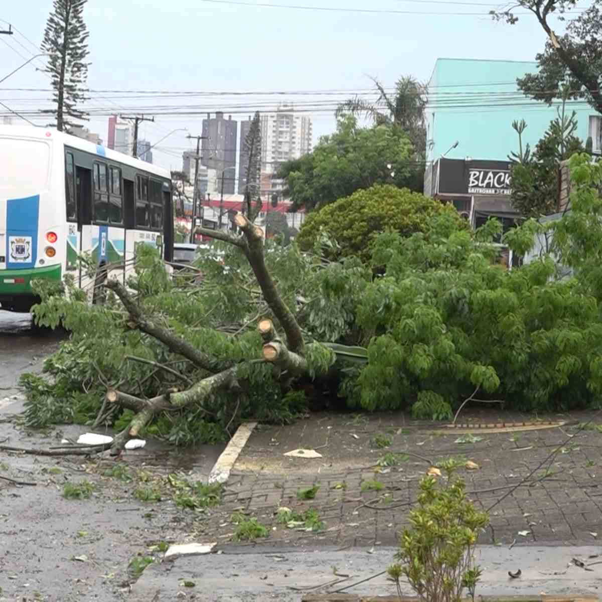  Temporal em Cascavel 