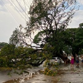 Vídeo mostra intensidade do vento que atingiu o Paraná; caixa d’água voou