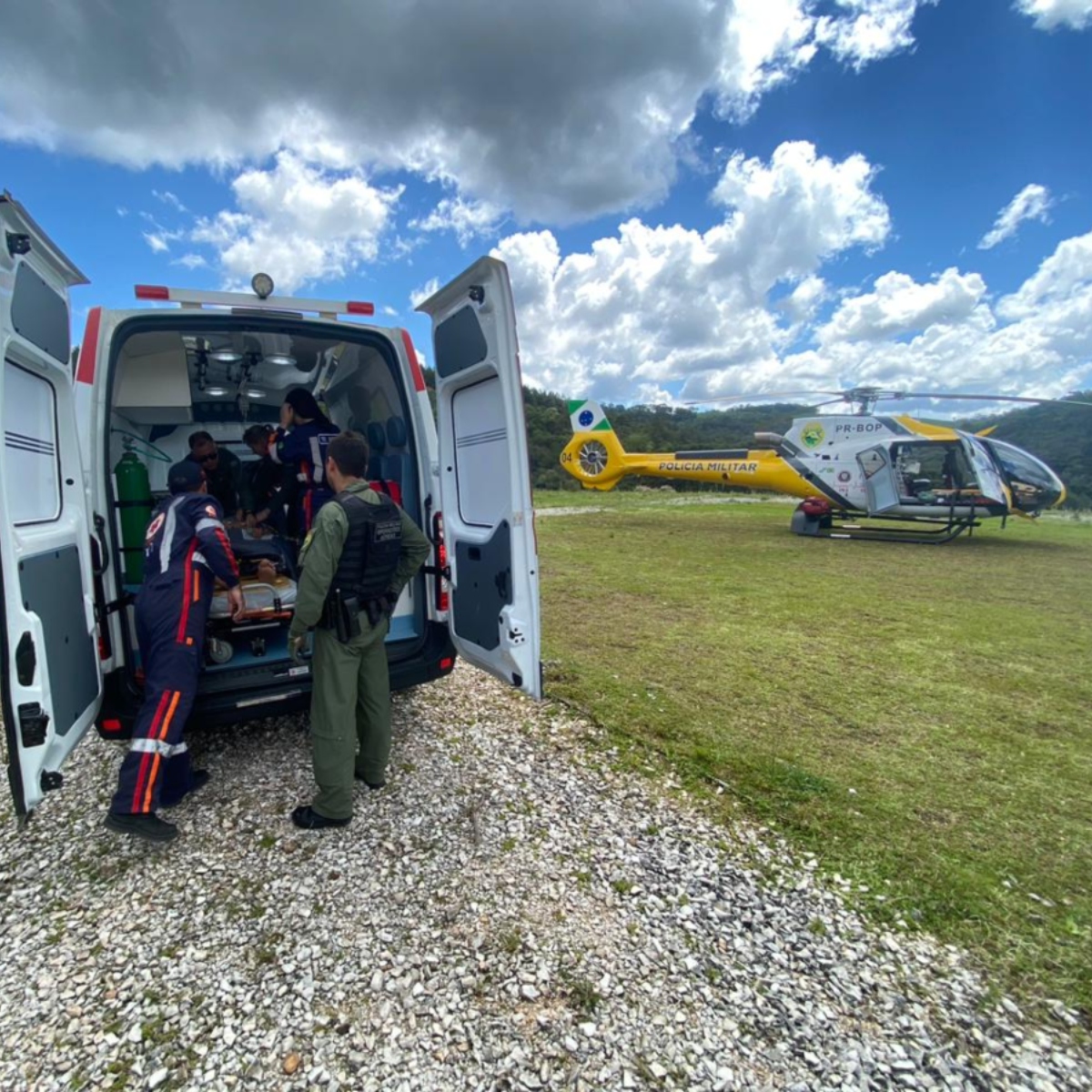  jovem picado cobra 