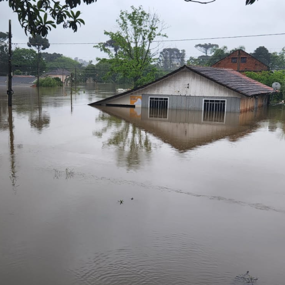  novas chuvas paraná veja regiões 