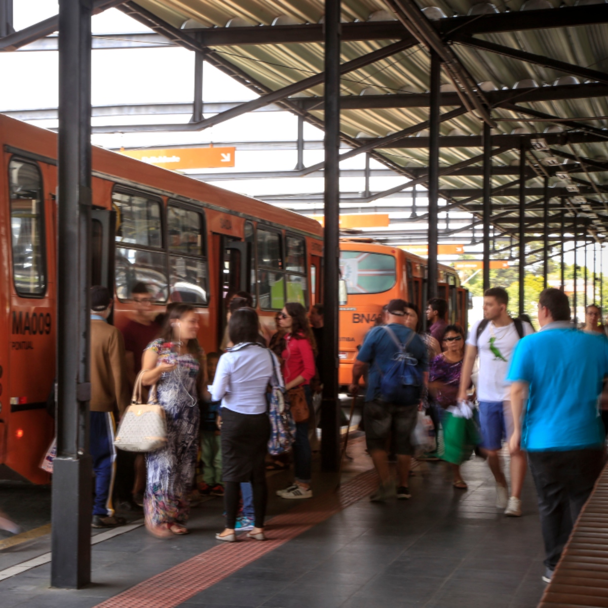  tarifa zero transporte público 