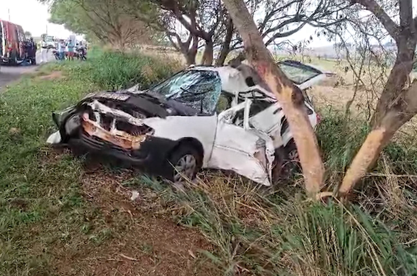 Família fica ferida após carro sair da pista na PR-218 e bater contra árvores 