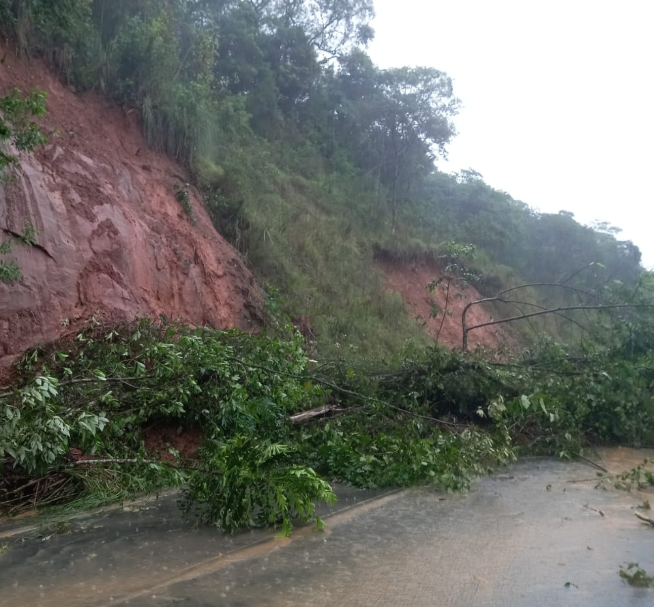  BR-277 têm interdições devido às chuvas em Guarapuava e Candói 