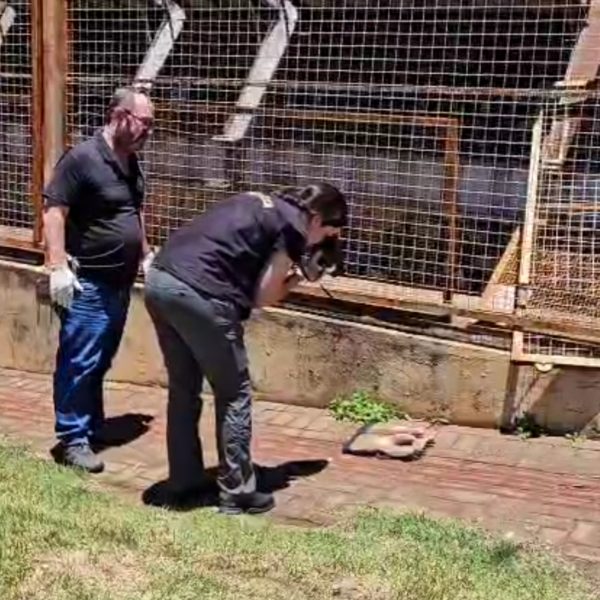 homem morre choque elétrico londrina