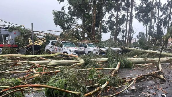 Rajadas de ventos de mais de 100 km/h causam destruição e mortes em São Paulo; veja