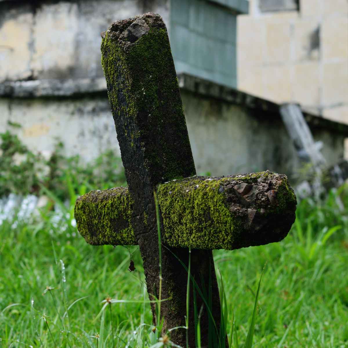  falecimentos Cascavel 