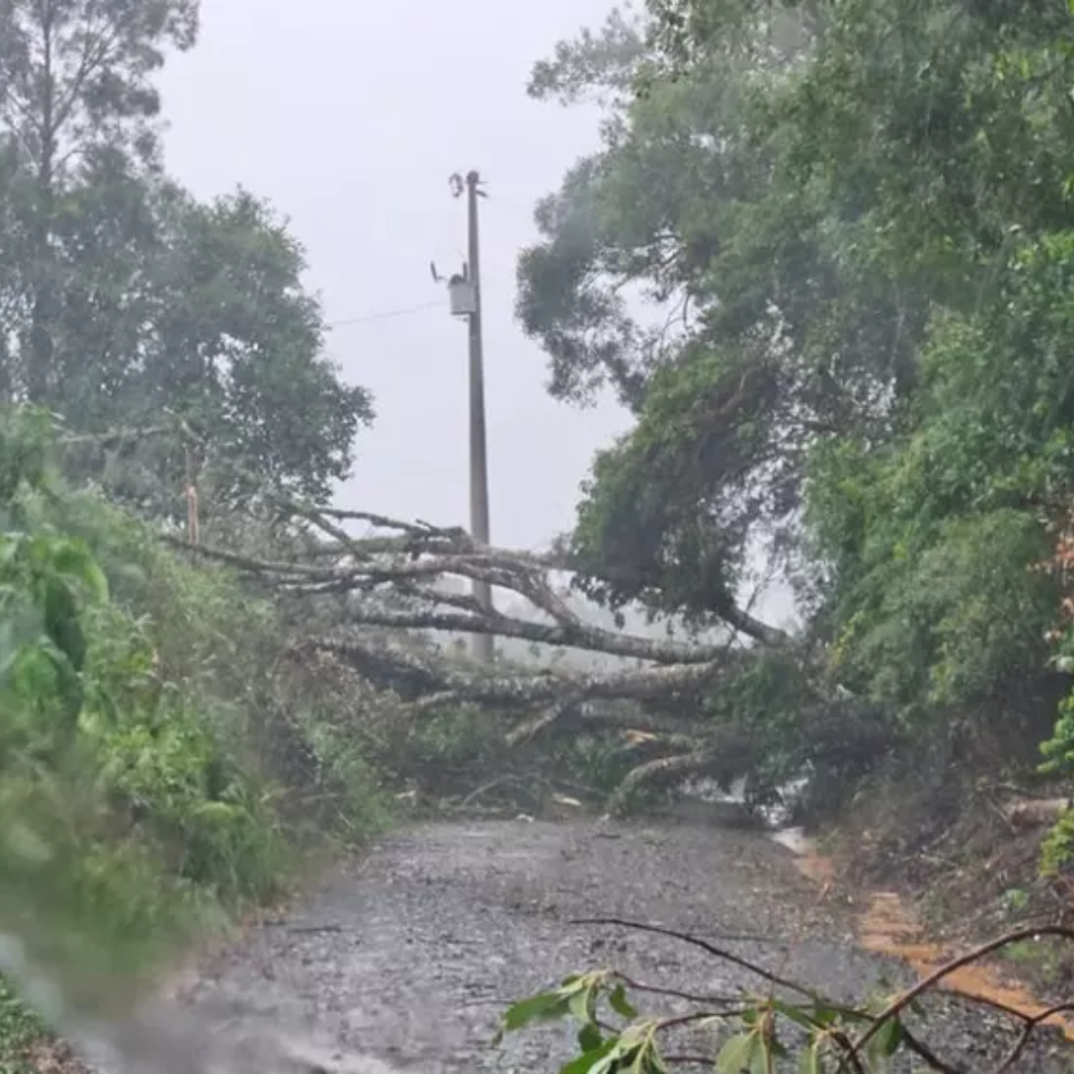  temporal santa catarina 