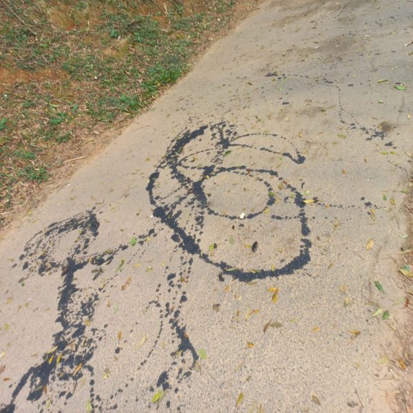 pichação nazista parque passaúna curitiba