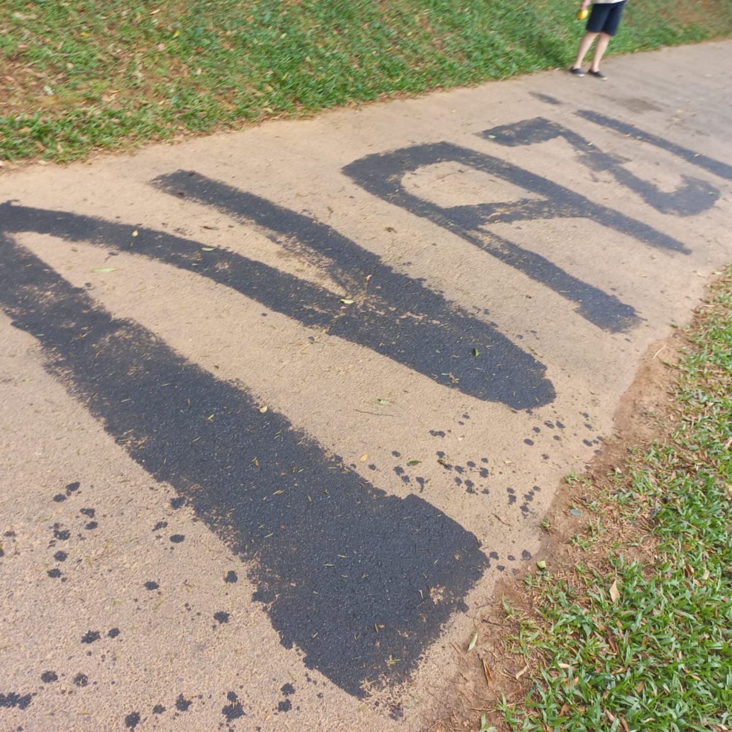  pichação nazista parque passaúna curitiba 