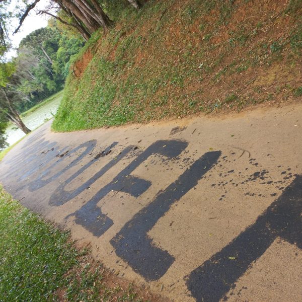 pichação nazista parque passaúna curitiba