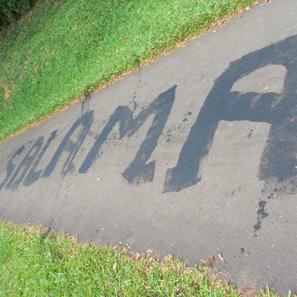 pichação nazista parque passaúna curitiba