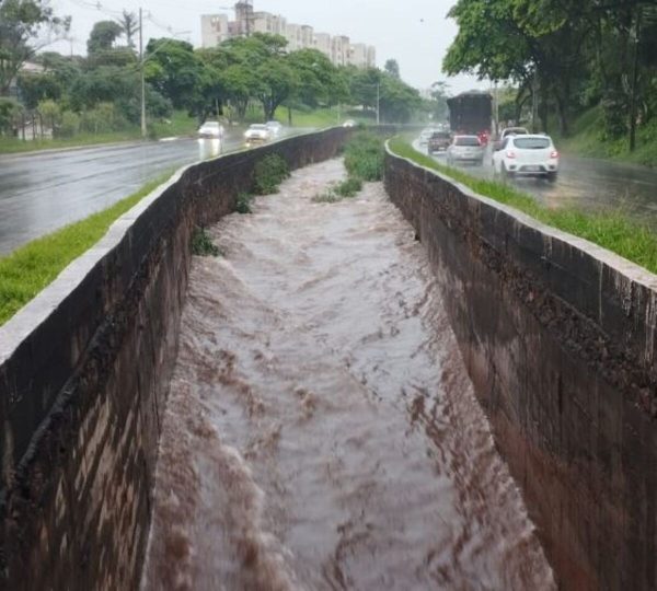 av. 10 de dezembro