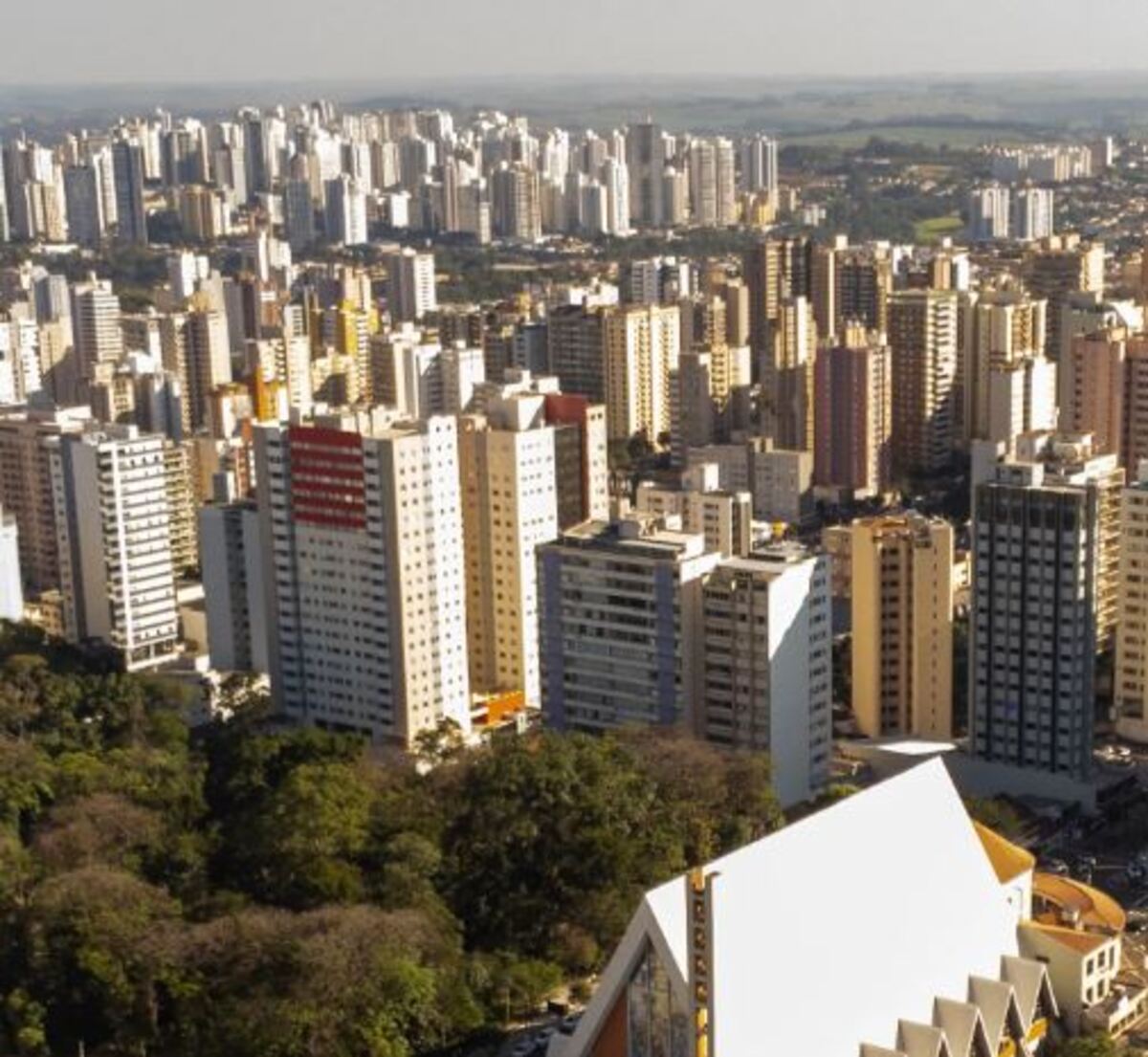  londrina 