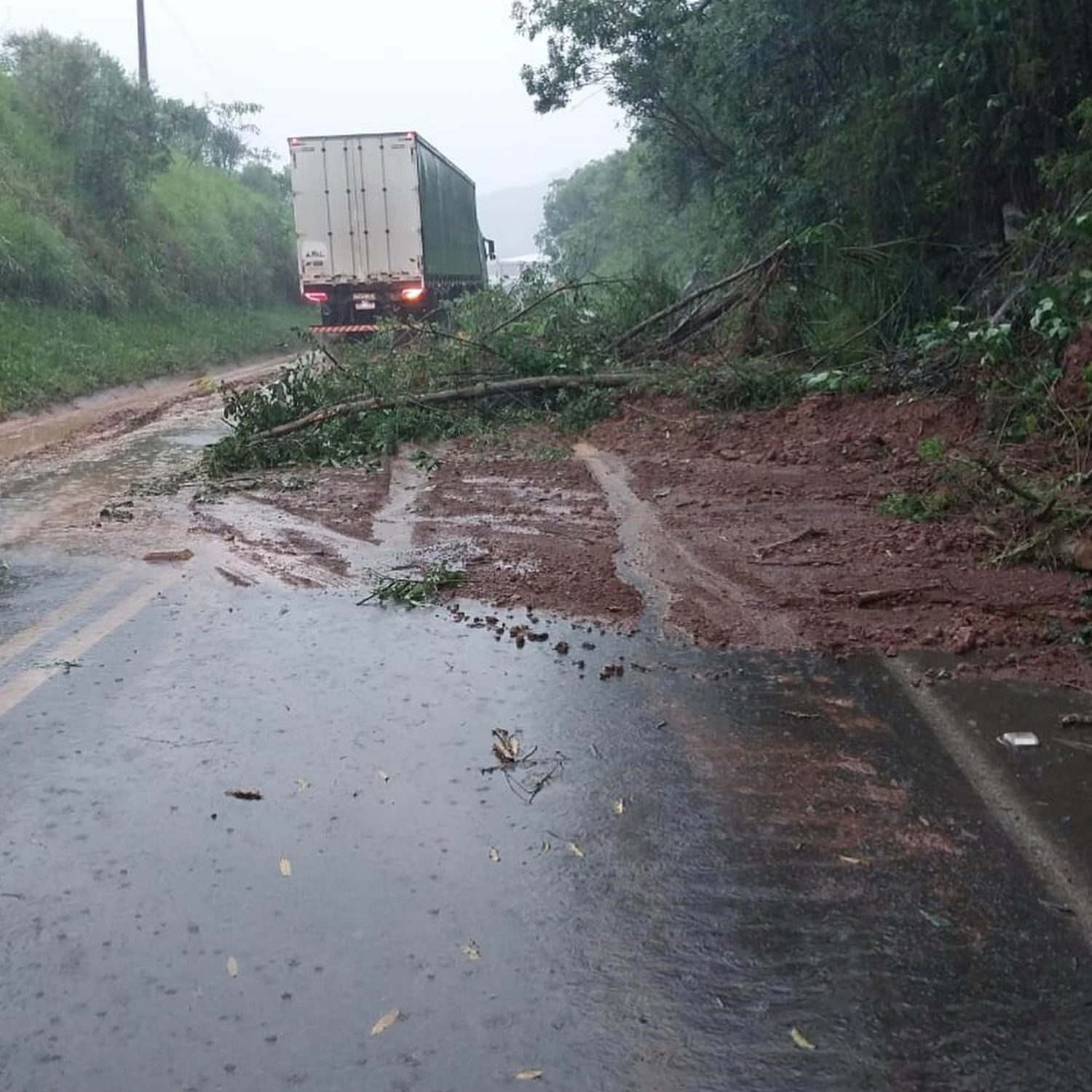  rodovia estrada bloqueada - deslizamento de terra e vegetação 