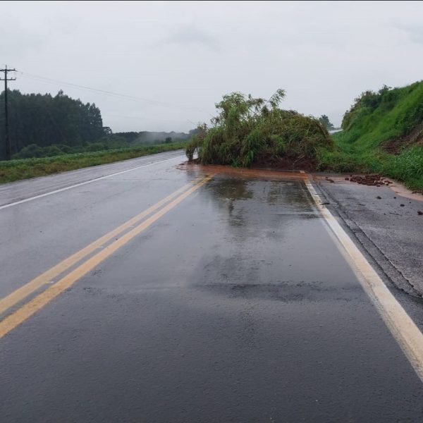 rodovia estrada bloqueada - deslizamento de terra e vegetação