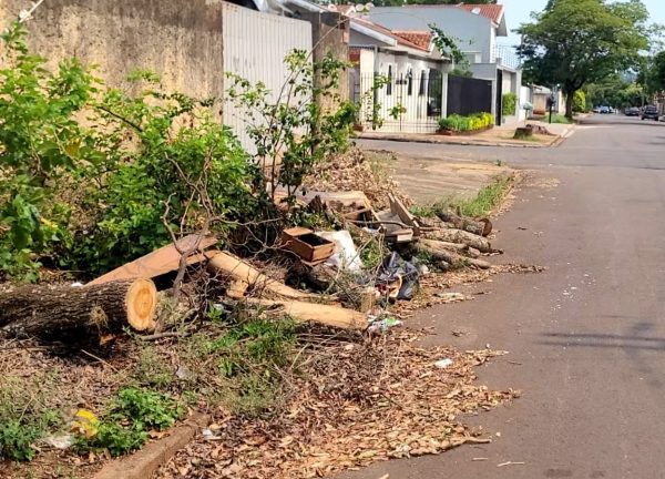 Após 40 dias de temporal, moradores enfeitam troncos com luzes de Natal; VÍDEO