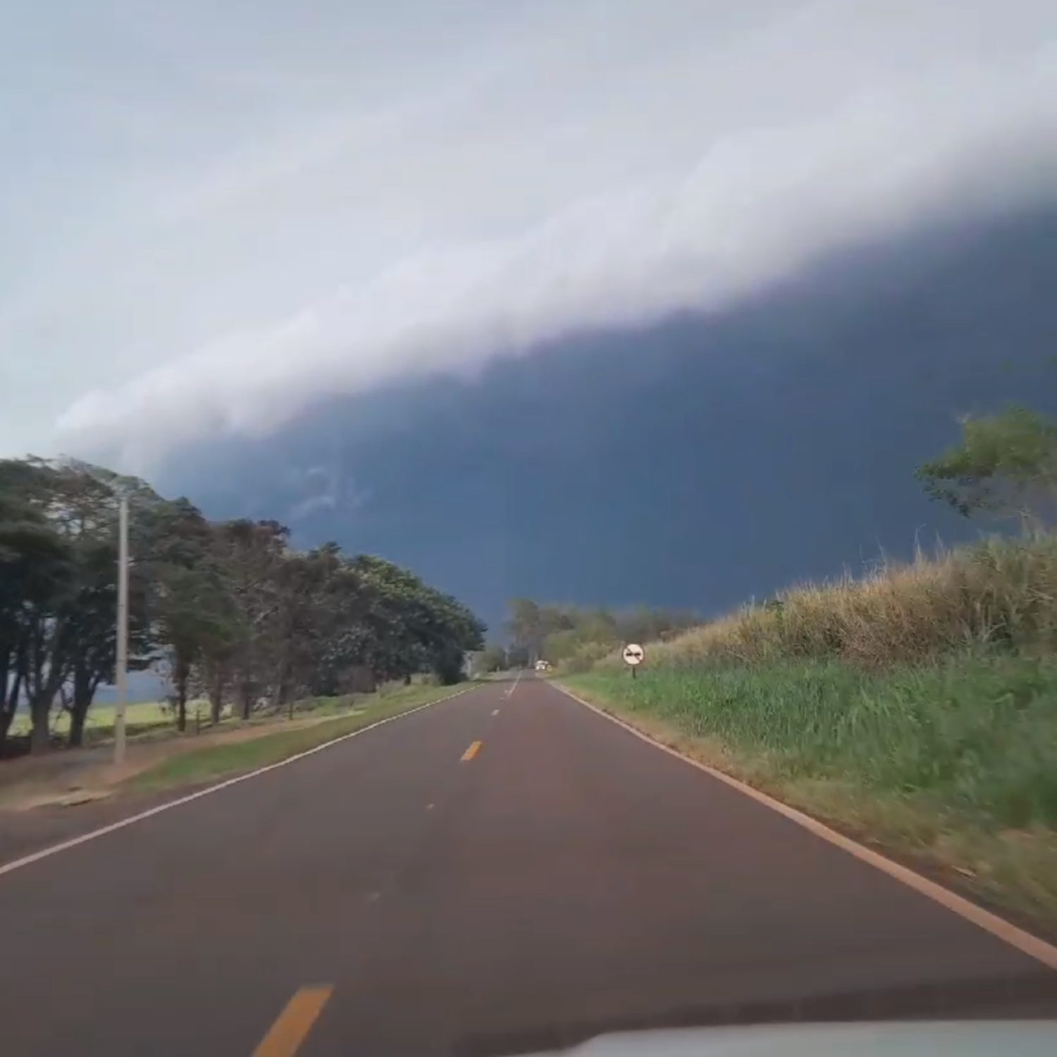  Temporal Maringá 